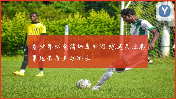 看世界杯竞猜热度升温 球迷关注赛事结果与互动玩法