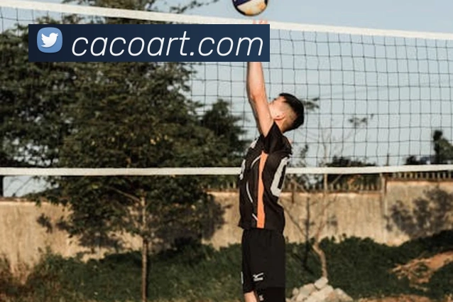 欧洲杯不采用主客场赛制，集中举办影响球队备战与球迷出行